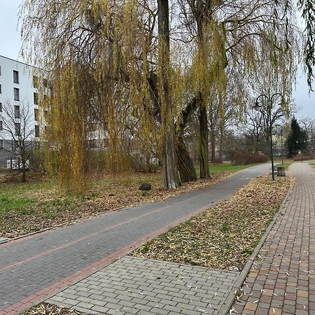 Apartament Kosciuszki 33F Iława Buitenkant foto