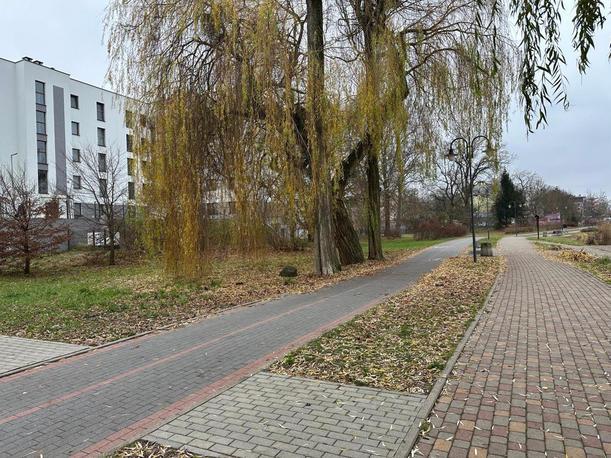 Apartament Kosciuszki 33F Iława Buitenkant foto